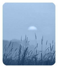 DF35-334-BL Harvest Sunrise Blue